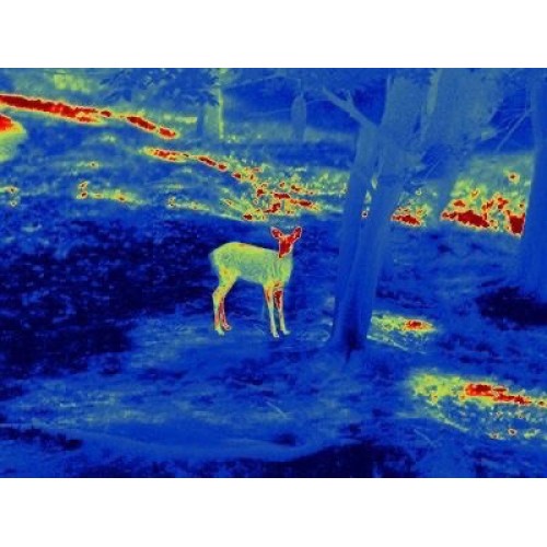 Прицел тепловизионный GUIDE TS450 в Энгельсе